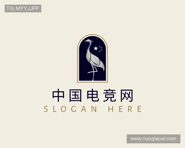 介绍中国电竞网